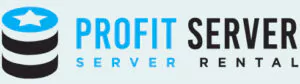 profitserver.ru